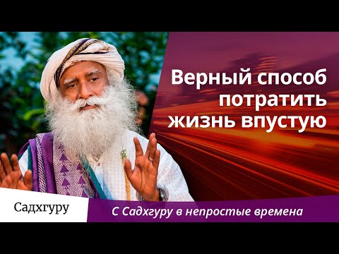 Видео: Верный способ потратить жизнь впустую