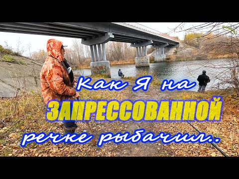 Видео: Как я на запрессованной речке рыбачил..#каналнарыбалку