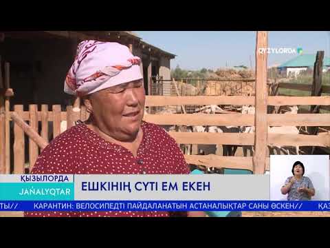 Видео: ЕШКІНІҢ СҮТІ ЕМ ЕКЕН