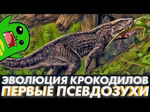 Видео: ПРАВЯЩИЕ ЯЩЕРЫ: ПРЕДКИ КРОКОДИЛОВ | Орнитозух | Этозавры | Первая Часть