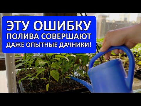 Видео: ЭТУ ОШИБКУ ПОЛИВА СОВЕРШАЮТ ДАЖЕ ОПЫТНЫЕ ДАЧНИКИ! проверьте себя