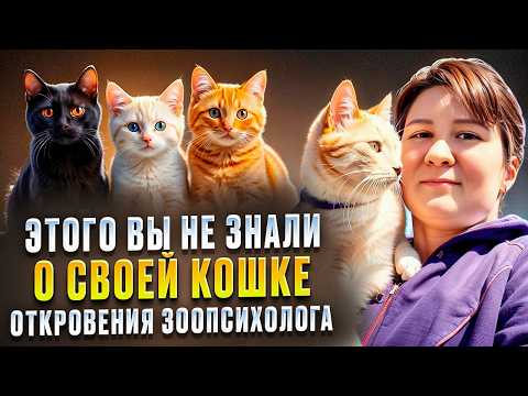 Видео: ТОП-30 неизвестных мифов владельцев о домашних кошках