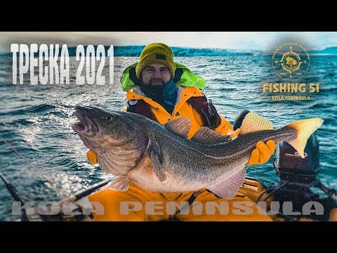 Видео: ЗА ТРОФЕЙНОЙ ТРЕСКОЙ! ВЕСНА 2021. МОРСКАЯ РЫБАЛКА В БАРЕНЦЕВОМ МОРЕ! СТРАШНАЯ ЗУБАТКА. СНЕГ, ВЕТЕР!