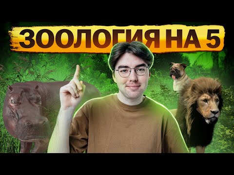 Видео: Зоология на ОГЭ биология 2025 | Умскул