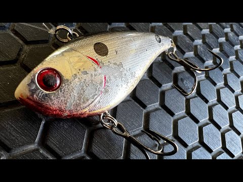 Видео: Что профессионалы вам не расскажут о безлопастных воблерах