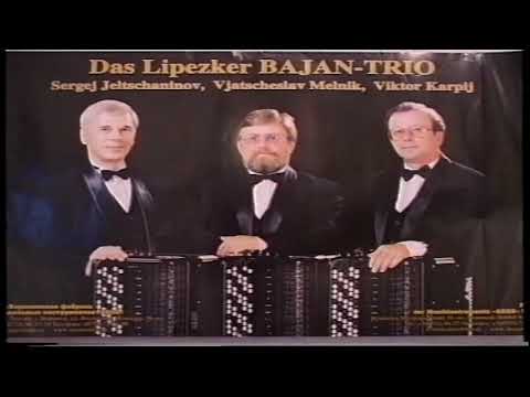 Видео: Липецкое трио баянистов концерт в Висбадэн (2004)/Trio d'accordéonistes de Lipetzk à Wisbaden 2004