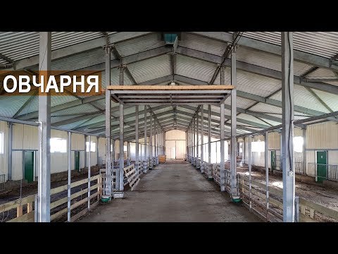 Видео: Содержание овец. Устройство овчарни. КФХ Степаненко