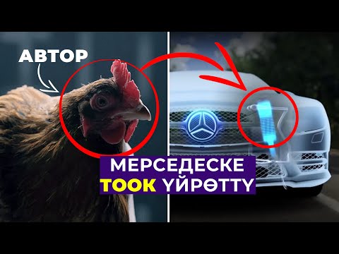 Видео: Табияттан алынган ачылыштар