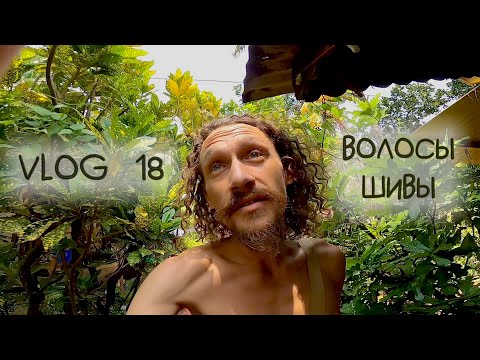 Видео: ПЕЩЕРА «ВОЛОСЫ ШИВЫ» / ПОСЛЕДНИЕ ДНИ В ГОКАРНЕ, ИНДИЯ 🇮🇳 + БОНУС С ЖИВОТНЫМИ