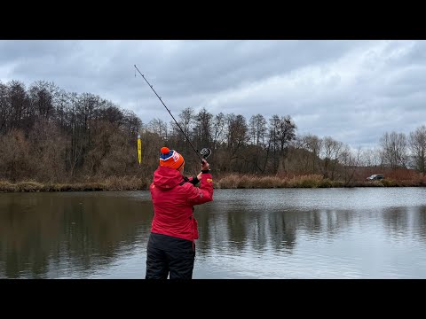 Видео: Риболовля на хижака. Ловля щуки на воблер