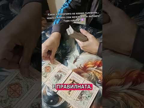 Видео: Кой посмя да се намеси? Нека видим!