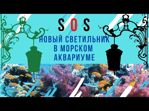 Видео: Часть 10 Свет в морском аквариуме (продолжение)