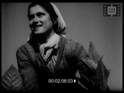Видео: Седмичен кинопреглед 35 / Weekly Newsreel 35 (1956)