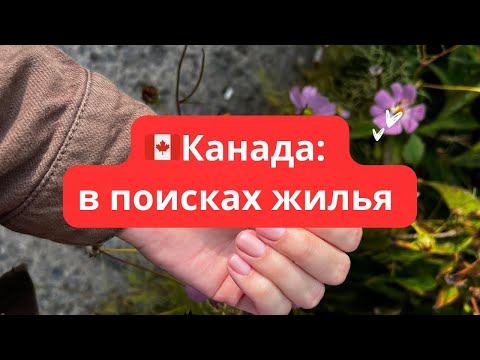 Видео: 🇨🇦Канада: в поисках жилья 😕