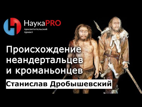 Видео: Происхождение неандертальцев и кроманьонцев – антрополог Станислав Дробышевский | Научпоп