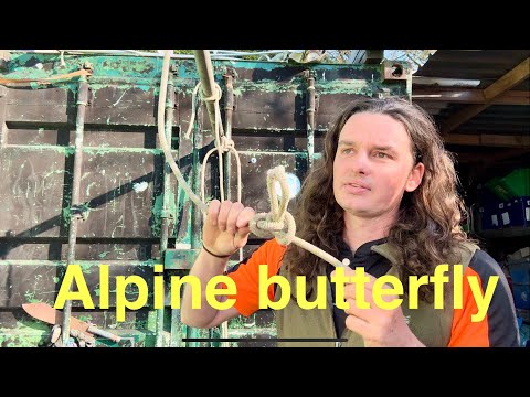 Видео: Альпийская бабочка использует