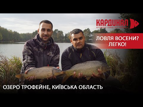 Видео: ОЗЕРО ТРОФЕЙНЕ. Клює безперестанку. У чому СЕКРЕТ успіху?