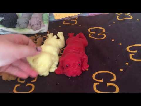 Видео: Силиконовые собаки, обзор на ❤️❤️🐶домик