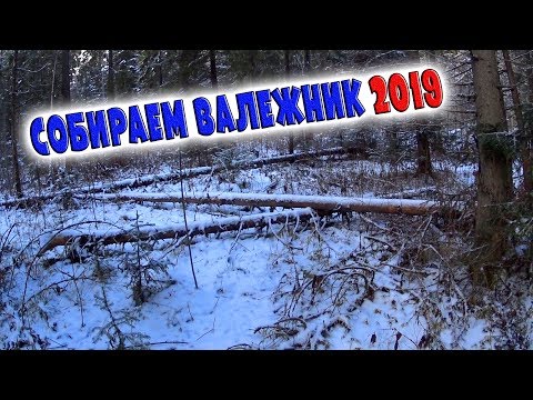 Видео: СОБИРАЕМ ВАЛЕЖНИК 2019 /МИНИТРАКТОР РУСИЧ Т-15 В ДЕЛЕ / День в деревне