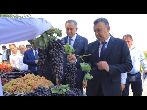 Видео: Боздиди Сарвазири мамлакат аз ноҳияи Носири Хусрав 