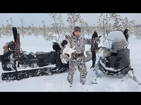 Видео: ВЫЕЗД В ТАЙГУ НА ОХОТУ. ДОБЫЛИ ГЛУХАРЕЙ С РУЖЬЯ. ОХОТА С ДРУГОМ НА СЕВЕРЕ.
