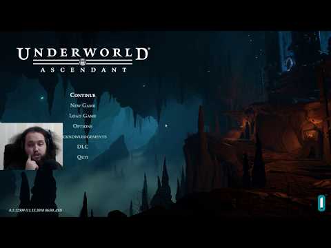 Видео: Underworld Ascendant и Ultima Underworld