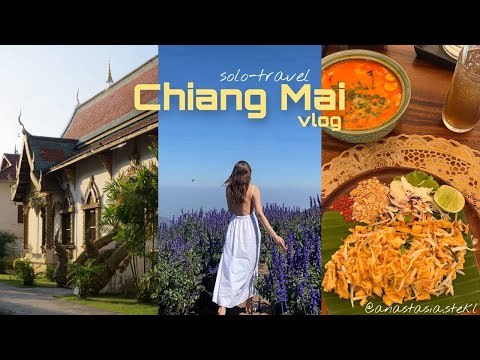 Видео: vlog: СЕВЕР ТАЙЛАНДА, ЧИАНГМАЙ. Что посмотреть? Пробую тараканов и учусь готовить тайскую еду.