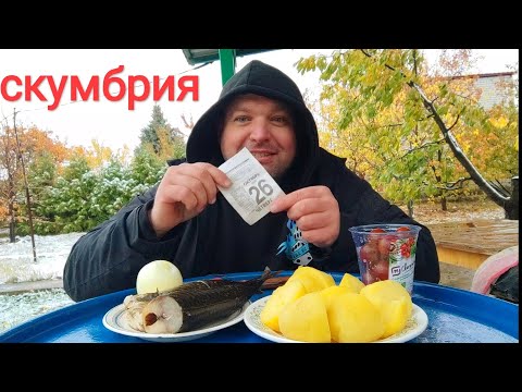 Видео: МУКБАНГ Скумбрия с картошкой/ОБЖОР дачно-осенний