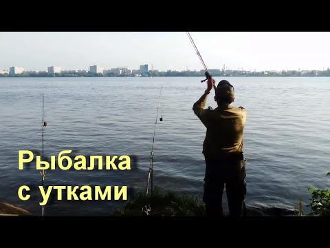 Видео: Рыбалка на острове Монастырский в Днепре