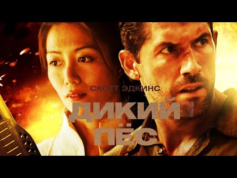 Видео: Боксер вынужден участвовать в тюремных боях без правил - Дикий пес (фильм боевик)