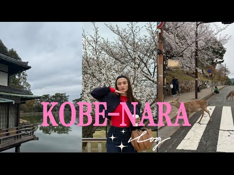 Видео: VLOG COBE-NARA: Парк, караоке, шопинг, прощаемся с Японией 