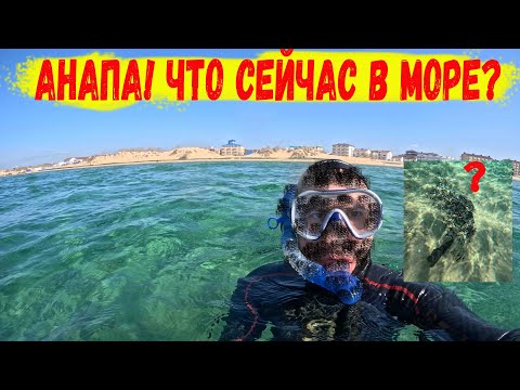 Видео: Анапа! Что сейчас в море?
