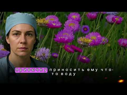 Видео: "Кардиохирург и бездомный: встреча, которая изменила жизнь ❤️"