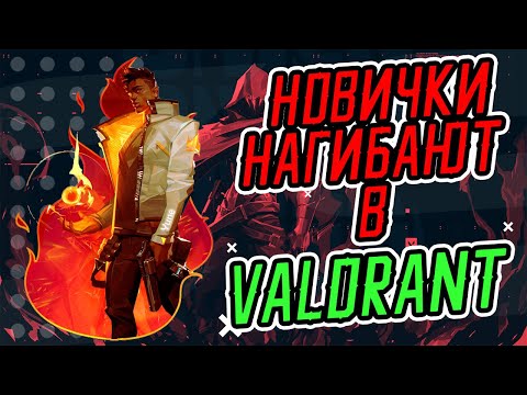 Видео: VALORANT глазами новичков | Новички удивляют и разбирают ОПЫТНЫХ ИГРОКОВ