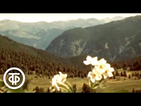 Видео: Алтайский заповедник - от весны до весны (1976)