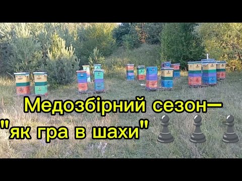 Видео: Відповідь на коментар. Стратегія, яку використовую, для отримання результату на головному взятку.