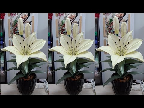 Видео: Как сделать красивый цветок из полиэтиленового пакета | Цветочные ремесла