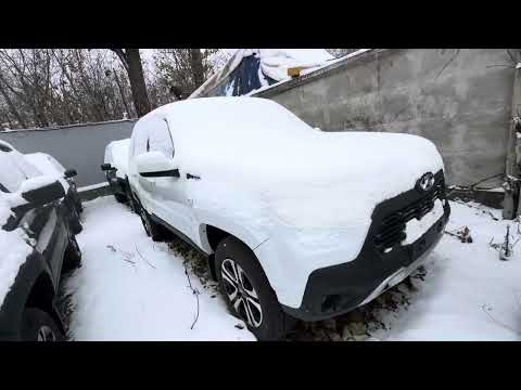 Видео: Свежий обзор, цены на ЛАДУ в Тольятти 5.11.2024г