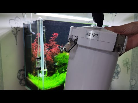 Видео: Аквариум 100 литров. Ответы на вопросы (часть1)