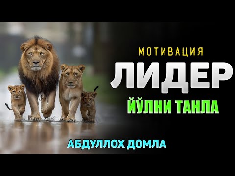 Видео: Мотивация! Лидер йўлни танла! |Абдуллох Домла |Abdulloh Domla #ilmnuri #abdullohdomla #yangimaruza 