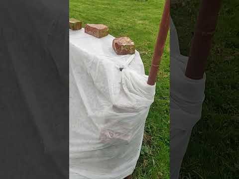 Видео: 10 октября 2025 г.