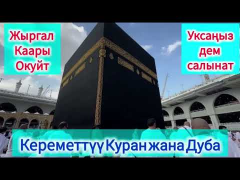 Видео: Жыргал каарынын кереметтуу дем салуусу