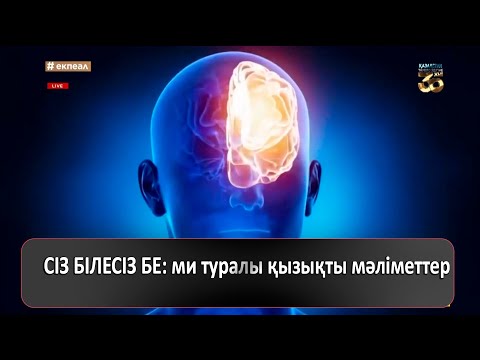 Видео: СІЗ БІЛЕСІЗ БЕ: ми туралы қызықты мәліметтер