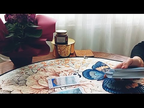 Видео: Някой иска развитие по дадена ситуация?Дали ще има продължение...