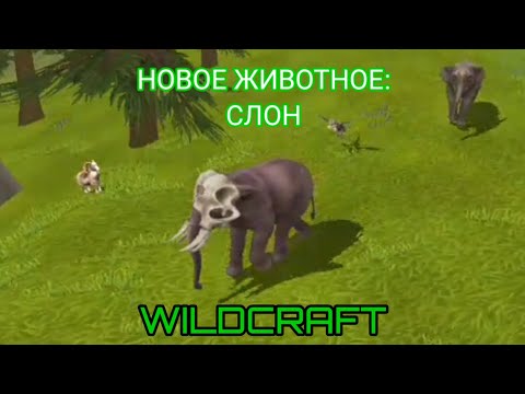 Видео: Новое животное в игре WildCraft: Слон 🐘