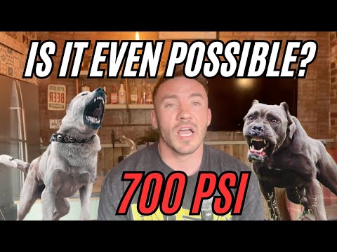 Видео: Сила укуса 700 фунтов на кв. дюйм: факт или интернет-фантазия?