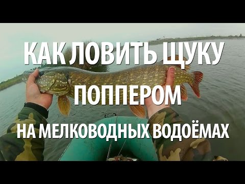Видео: РЫБАЛКА ПОЗДНЕЙ ОСЕНЬЮ на ЩУКУ НАХЛЫСТОМ на ПОППЕР