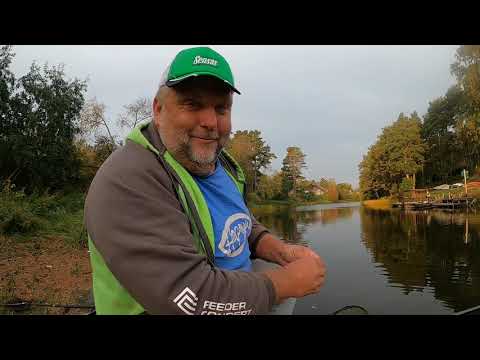 Видео: Но44 - болонка+карась+ елец + отличный улов= идеальный день!