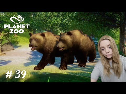 Видео: Потратила кредит на медведей  ➤ Planet Zoo #39