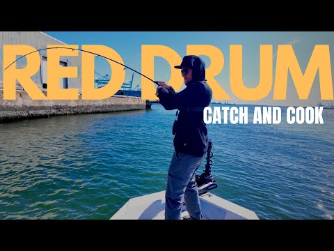 Видео: Когда мостовой туннель выходит из строя… Река Элизабет приносит плоды! | Red Drum Catch & Cook